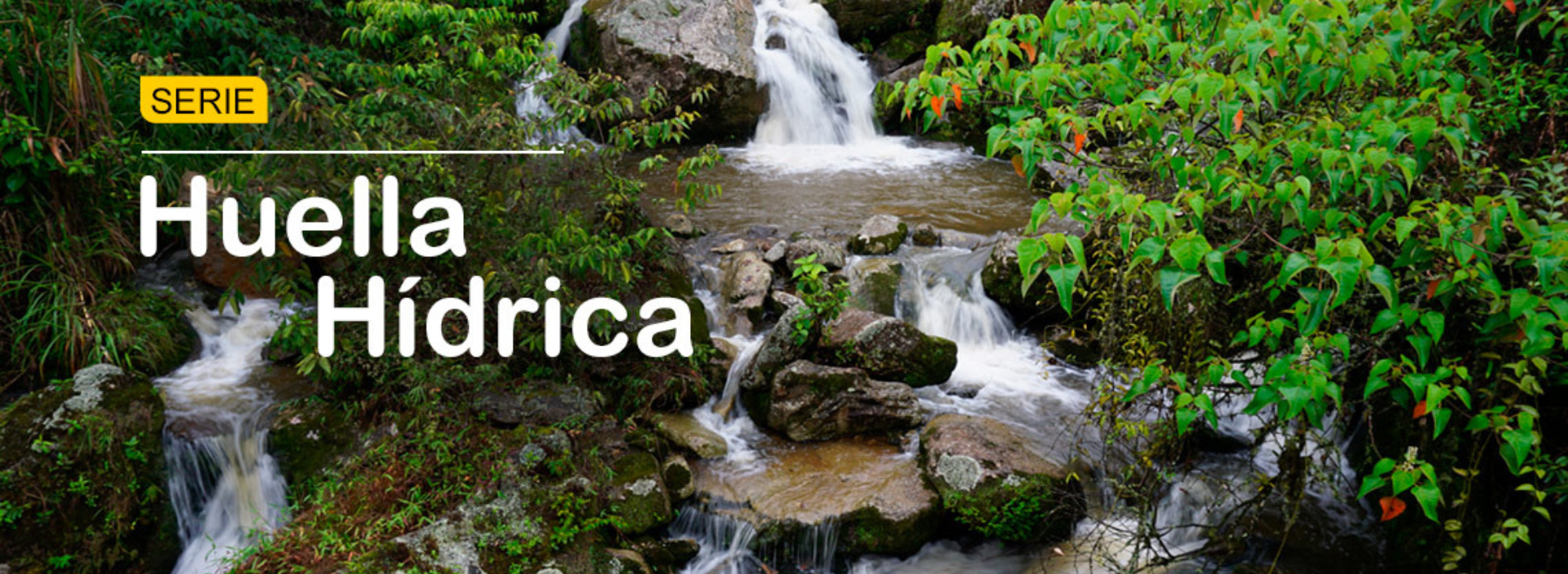 Así pensamos nuestra relación con el agua