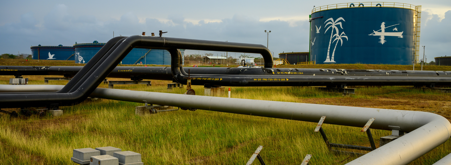 Categoría<br /> Generación de Valor y Sostenibilidad