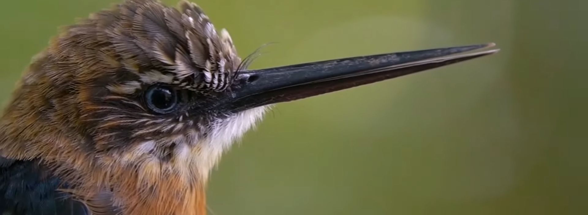 Ecopetrol entre las tres empresas de petróleo y gas del mundo con mejores prácticas de sostenibilidad