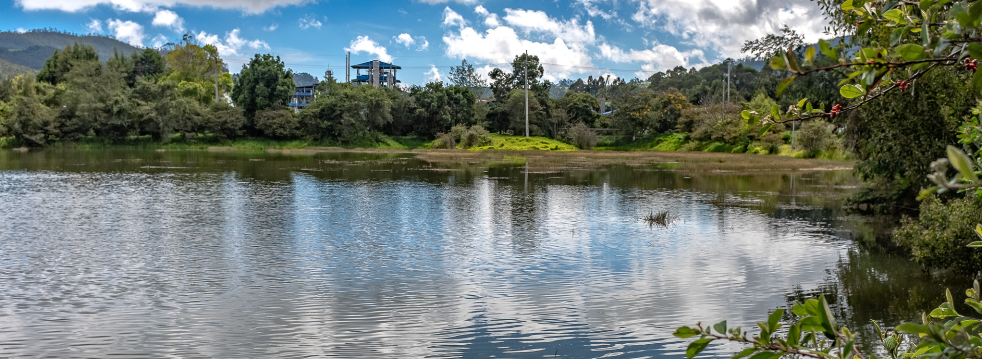 Grupo Ecopetrol tendrá cinco nuevas Ecoreservas en Casanare, Boyacá y Santander