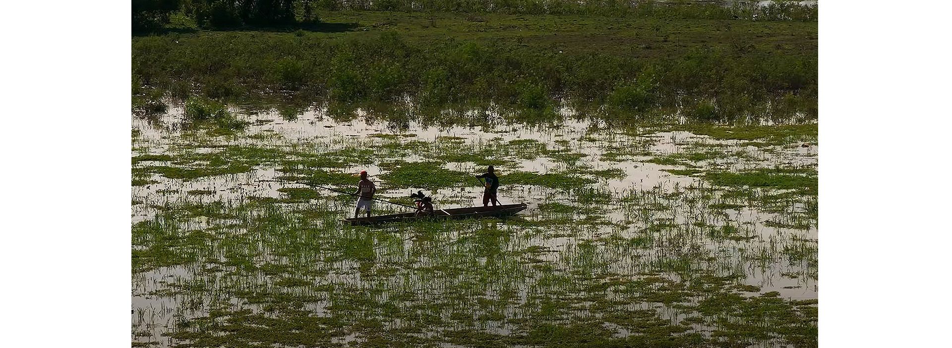 Enero 26: Día Mundial del Pescador
