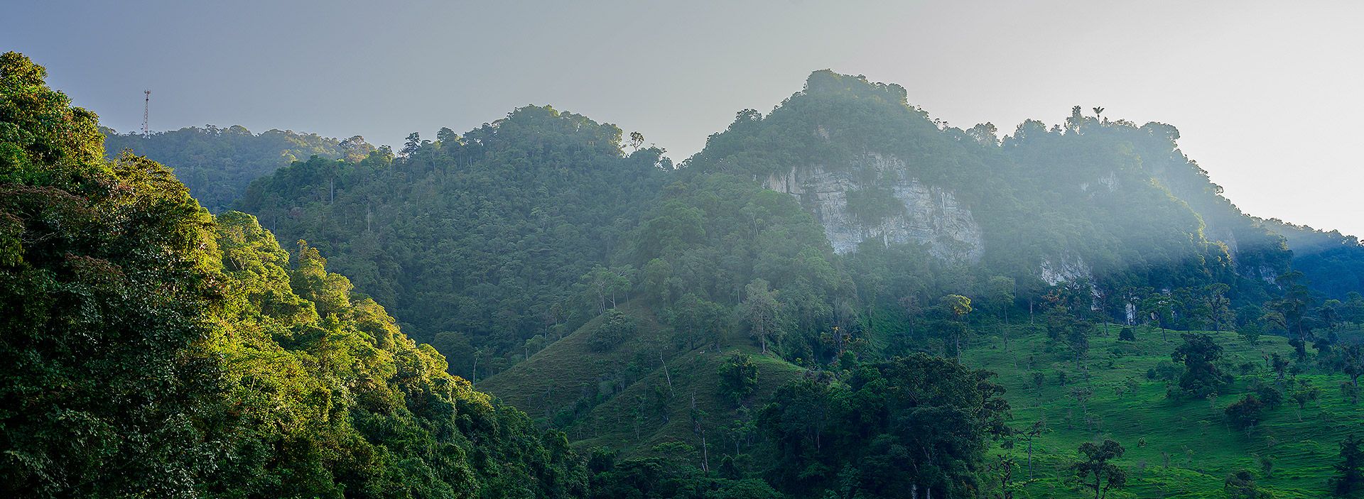 Grupo Ecopetrol contribuye a la conservación y restauración de más de 290 mil hectáreas de bosques