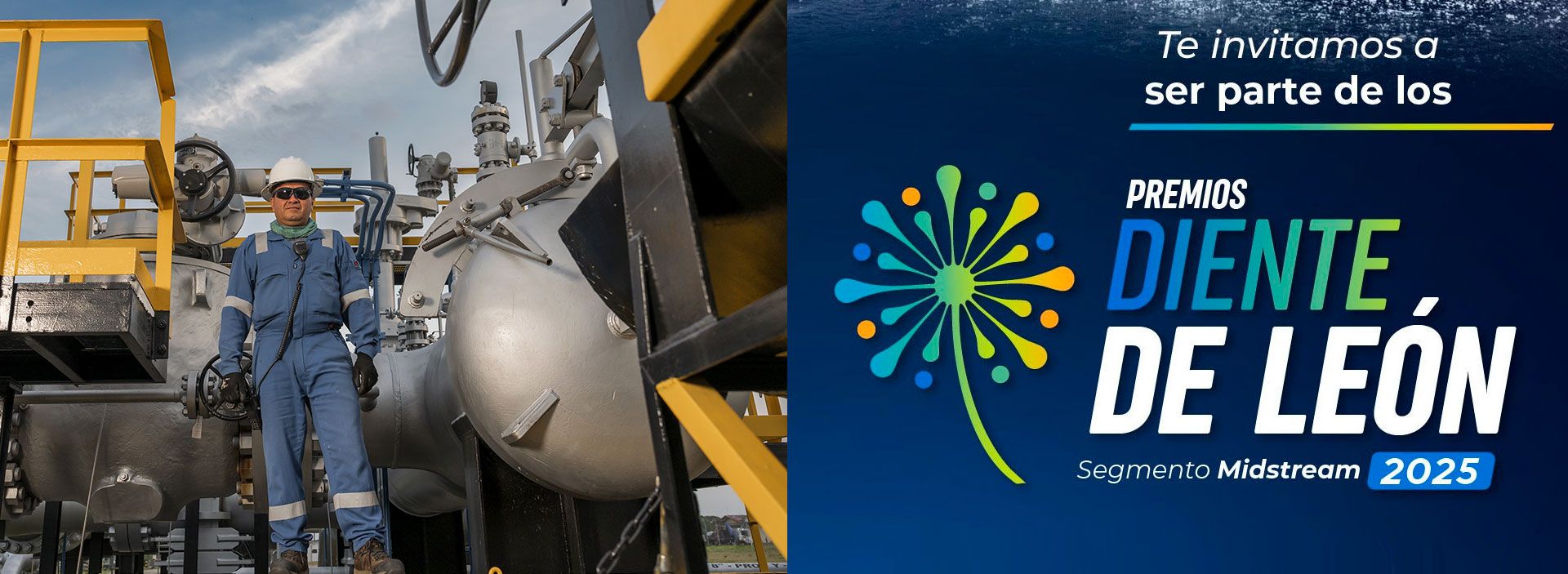 Participa en los Premios Diente de León