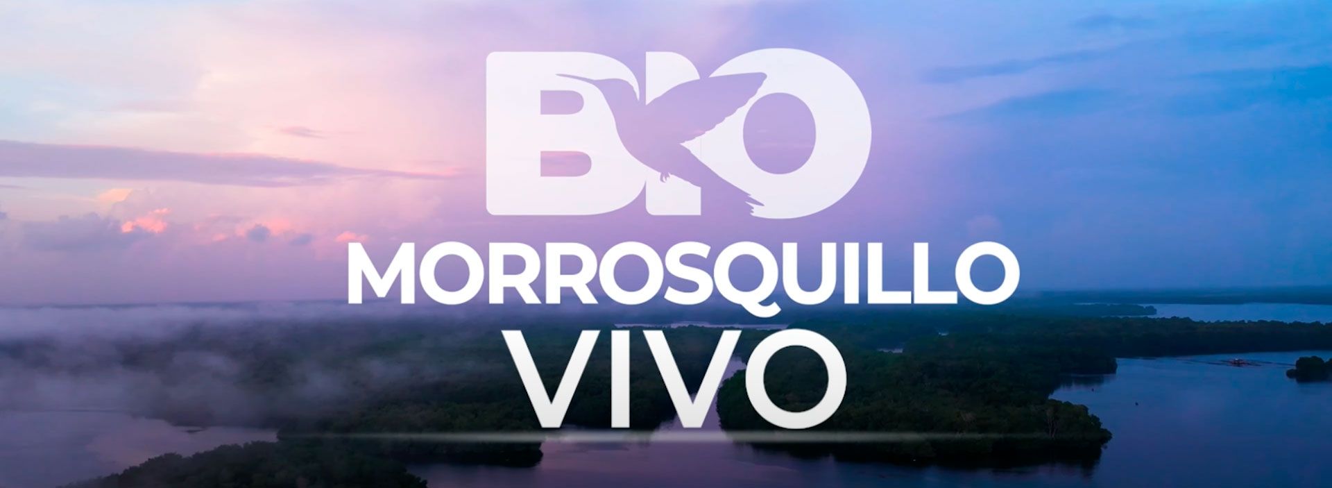 BIO Morrosquillo Vivo