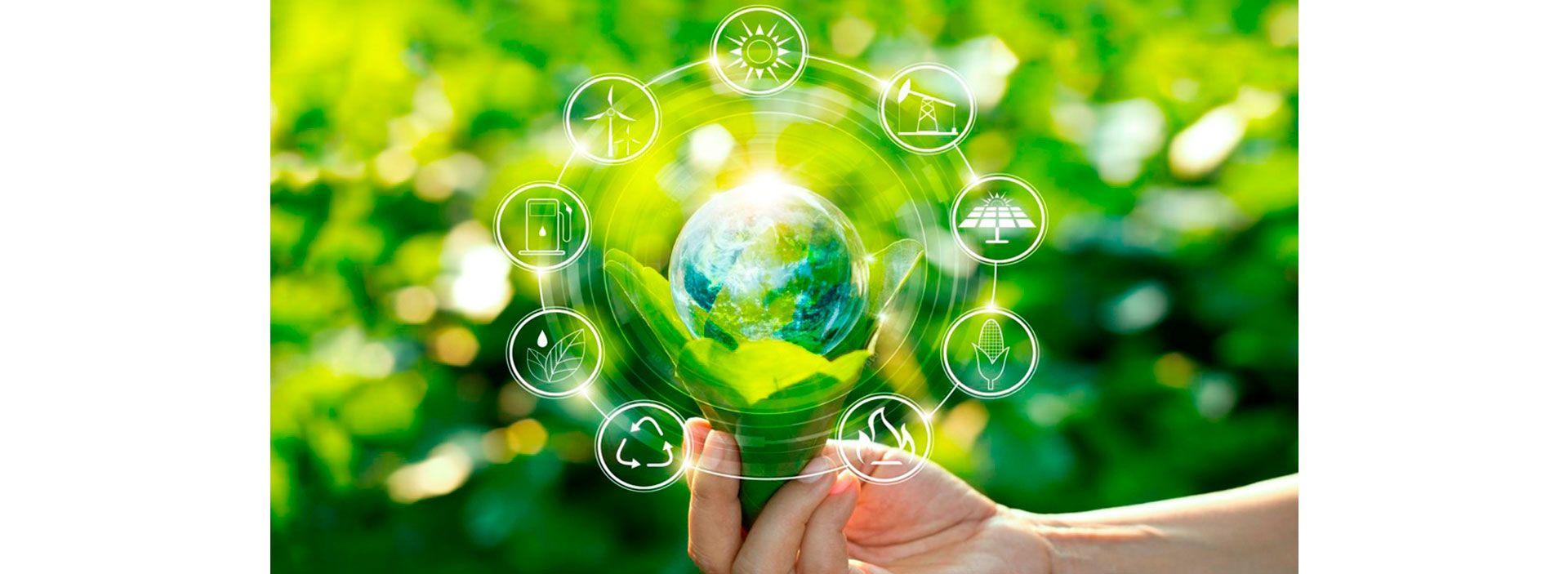 Informe Perspectivas de la Energía Mundial 2025