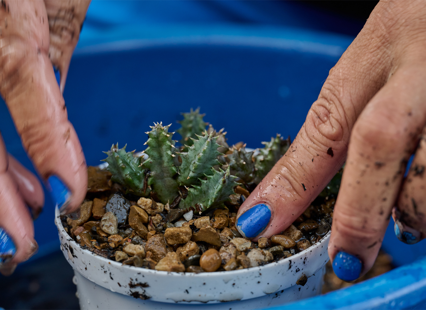 Reactivación sostenible