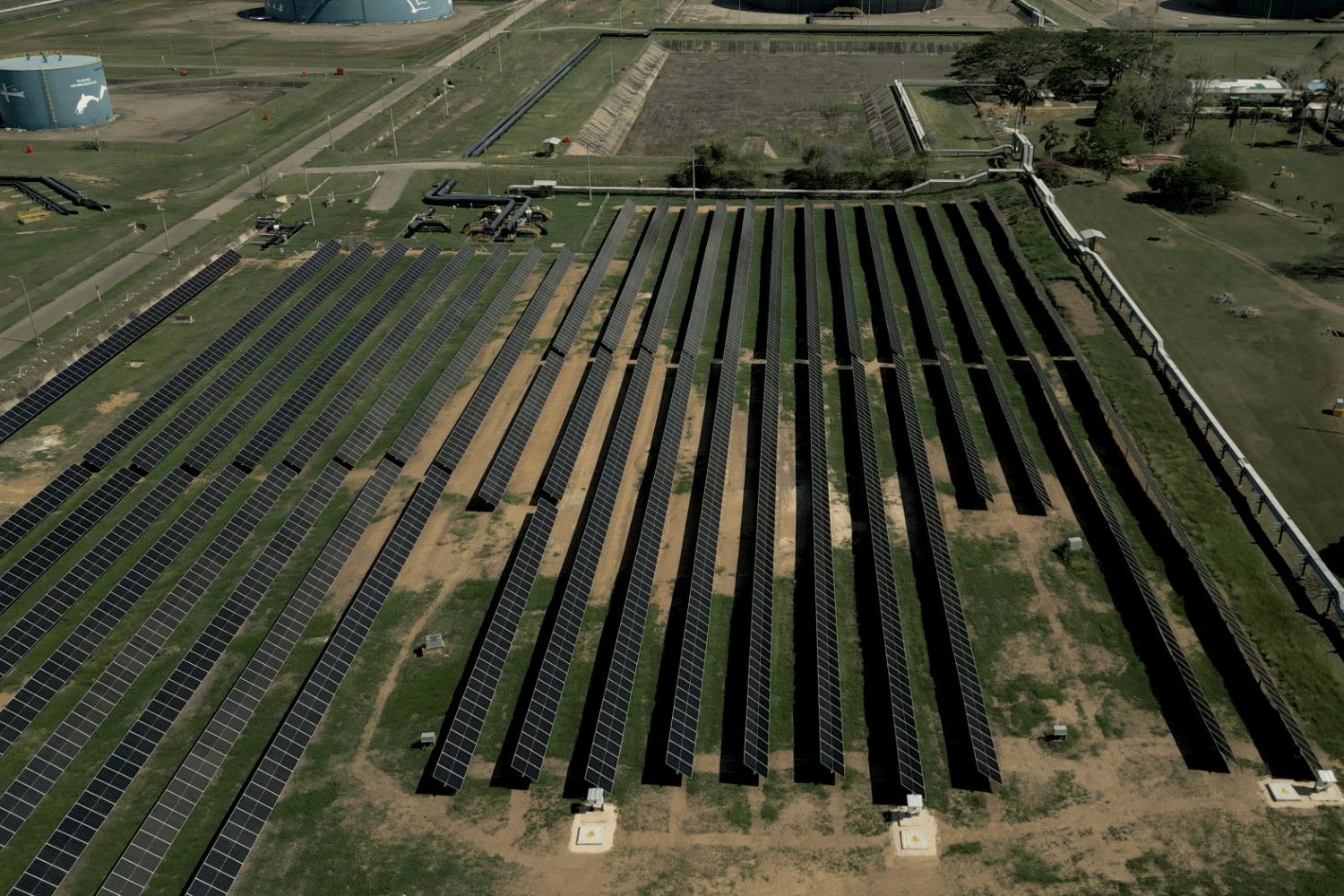 “Cultivando” energía para todos