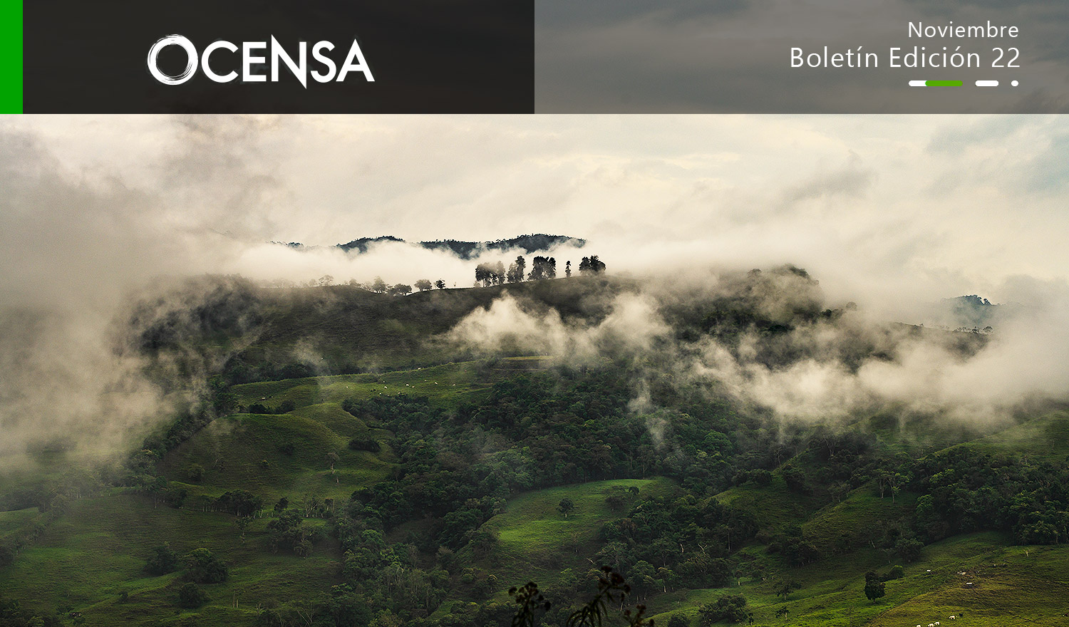 Los 1000 árboles que llegaron a Suna Arriba