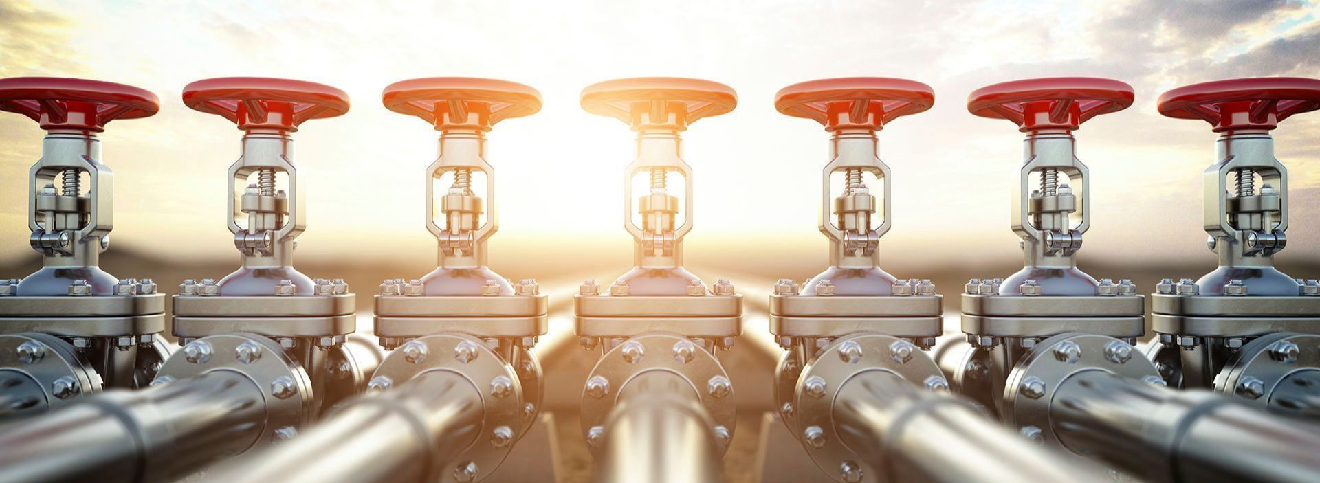 ¿Cómo responde el sector energético ante los problemas de abastecimiento de gas?: esto explicó Colgas en el Gran Foro Colombia 2026