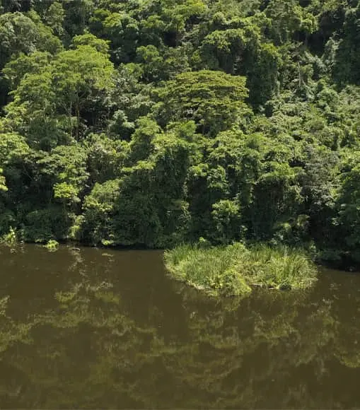 Banco de Hábitat del Meta