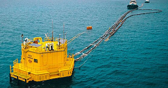 ¿Sabías que la concesión portuaria es clave para proteger el mar, las comunidades y el entorno donde operamos?