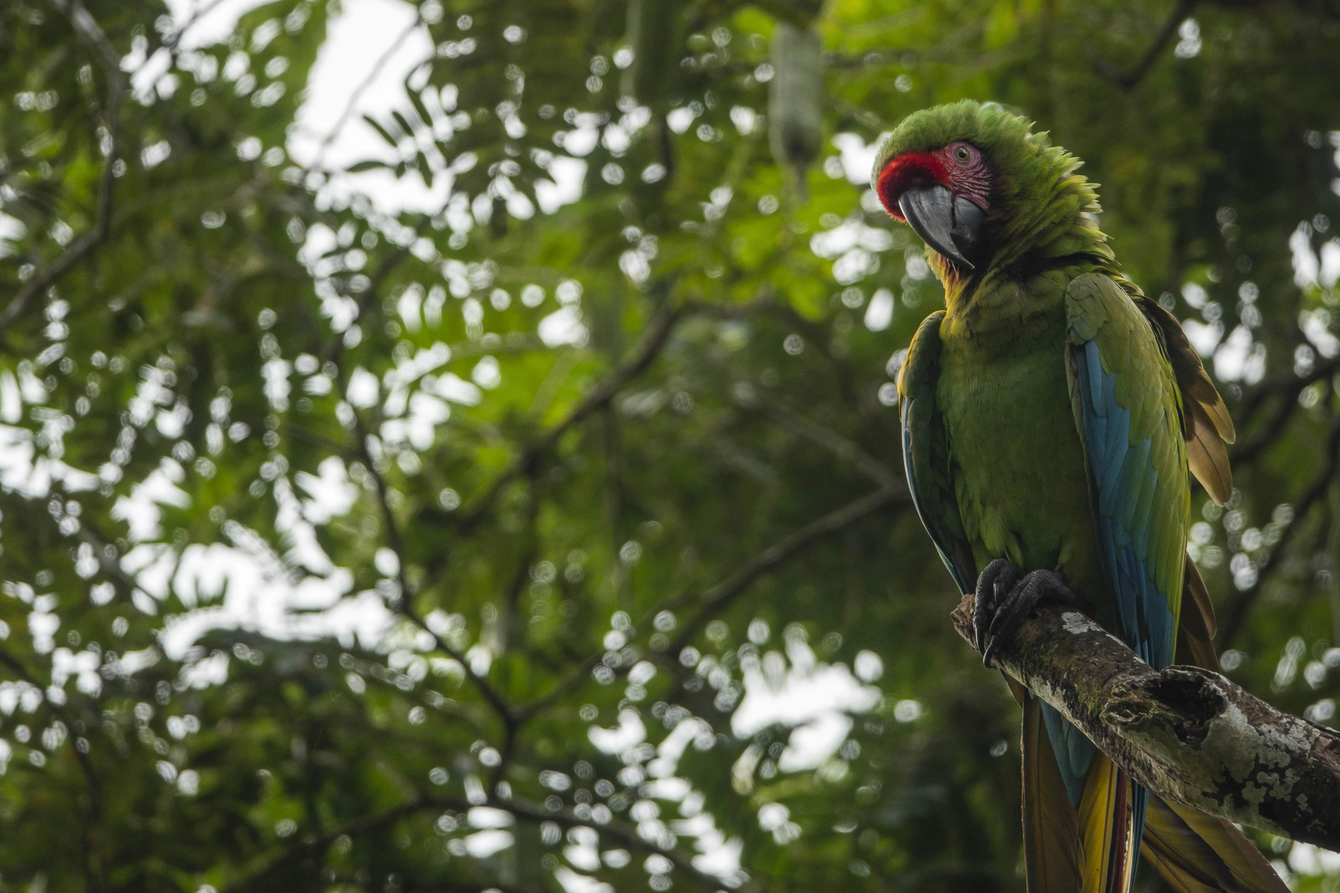 Cuidadosos, responsables y eficientes