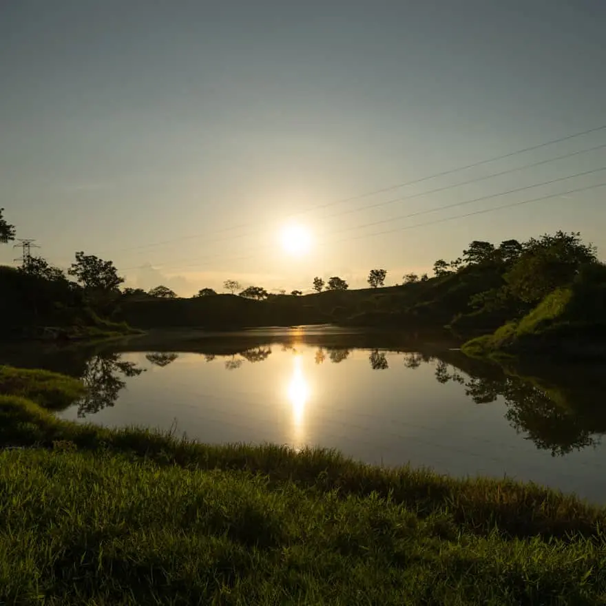 Reactivación sostenible en los territorios