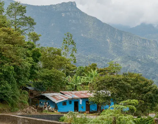 Mejorar viviendas para mejorar familias