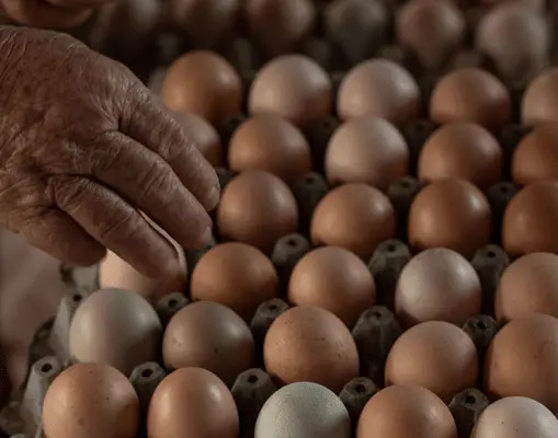 Comité de seguimiento en Miraflores