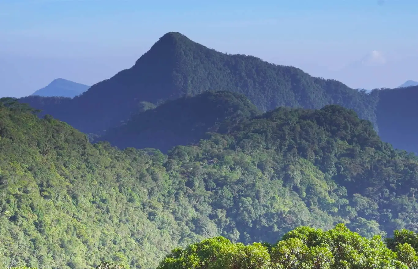 Parque Nacional Natural Paramillo