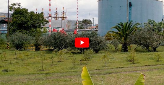 JASMAR hace parte de la Red de Desarrollo Empresarial de Ocensa