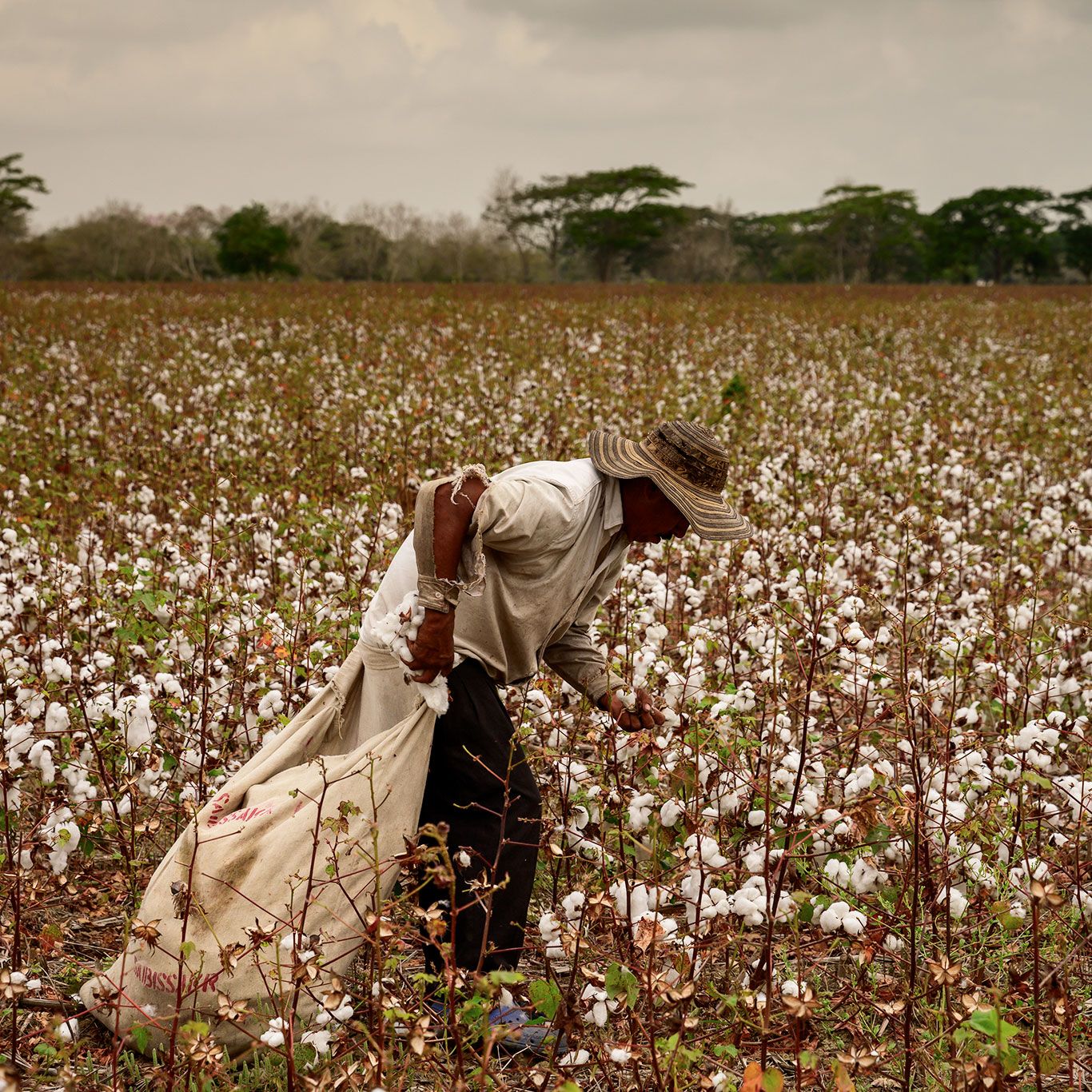 Mecanismos de reclamación