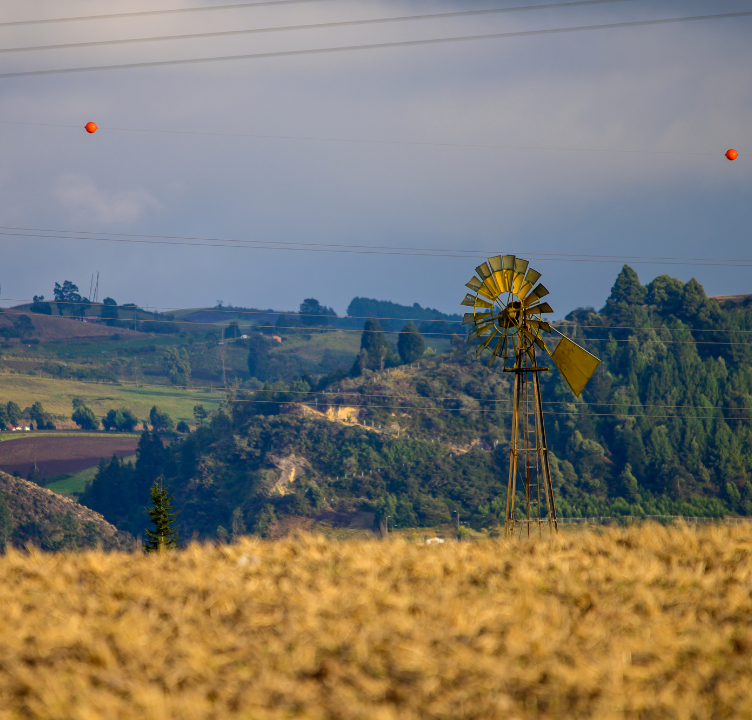 Transición Energética y Descarbonización