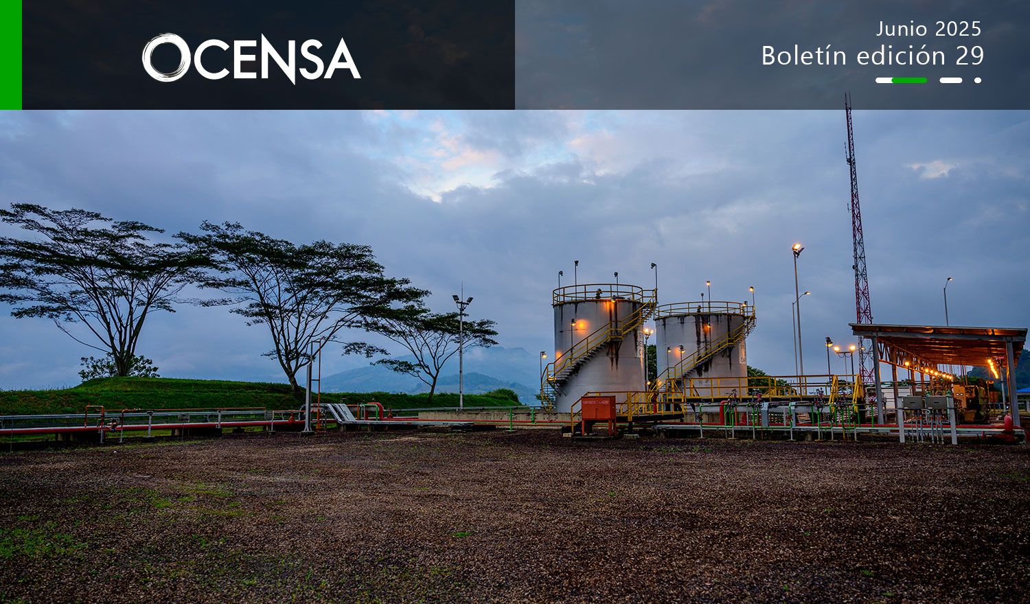 La importancia de la gestión de activos