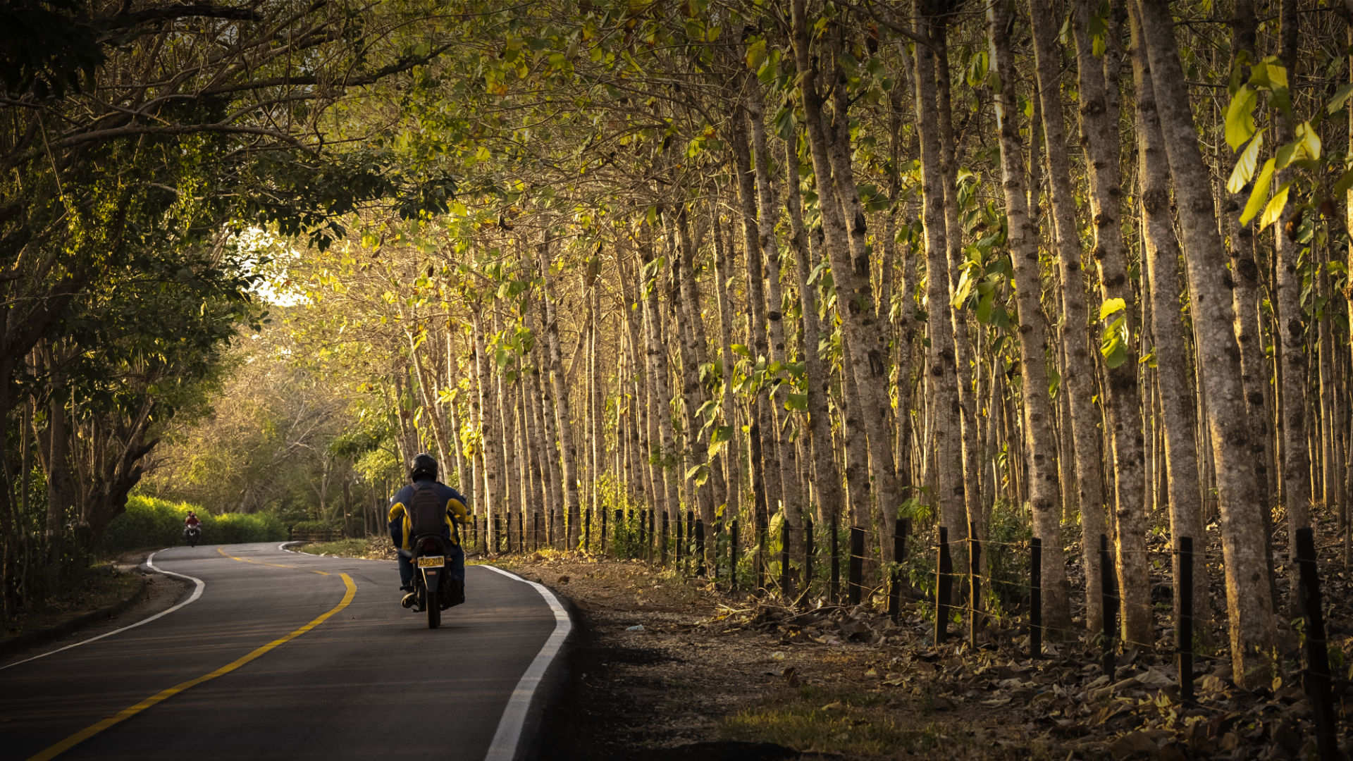 Promovemos los estándares internacionales en derechos humanos