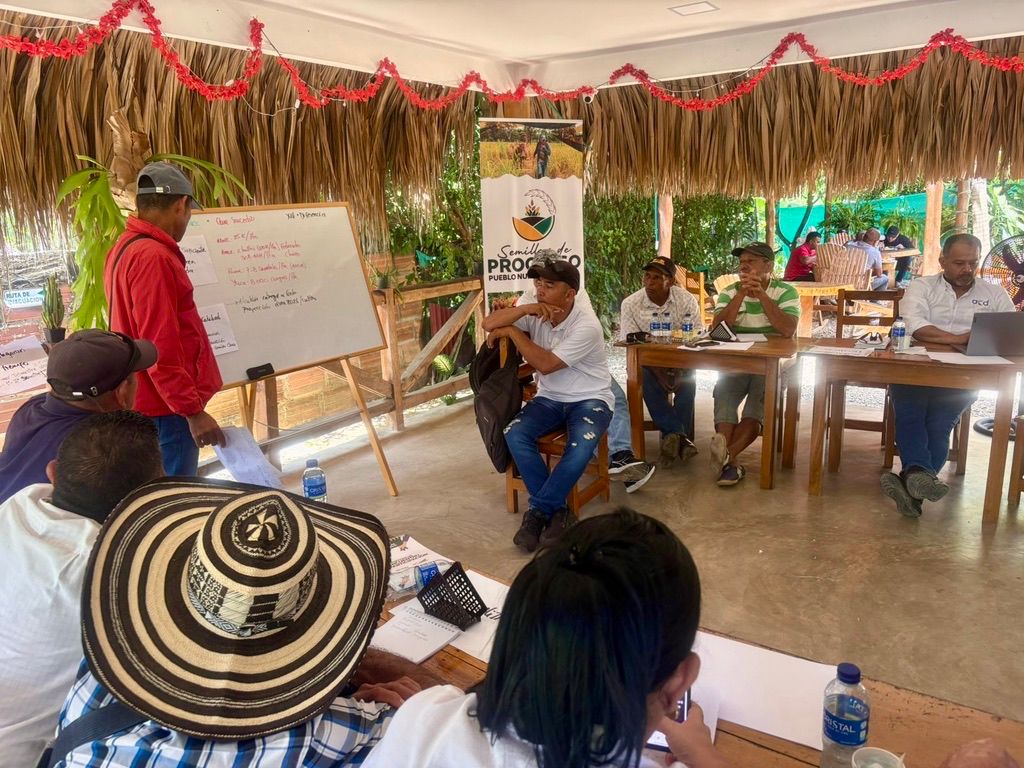Impulsando la seguridad alimentaria y el desarrollo local en Pueblo Nuevo