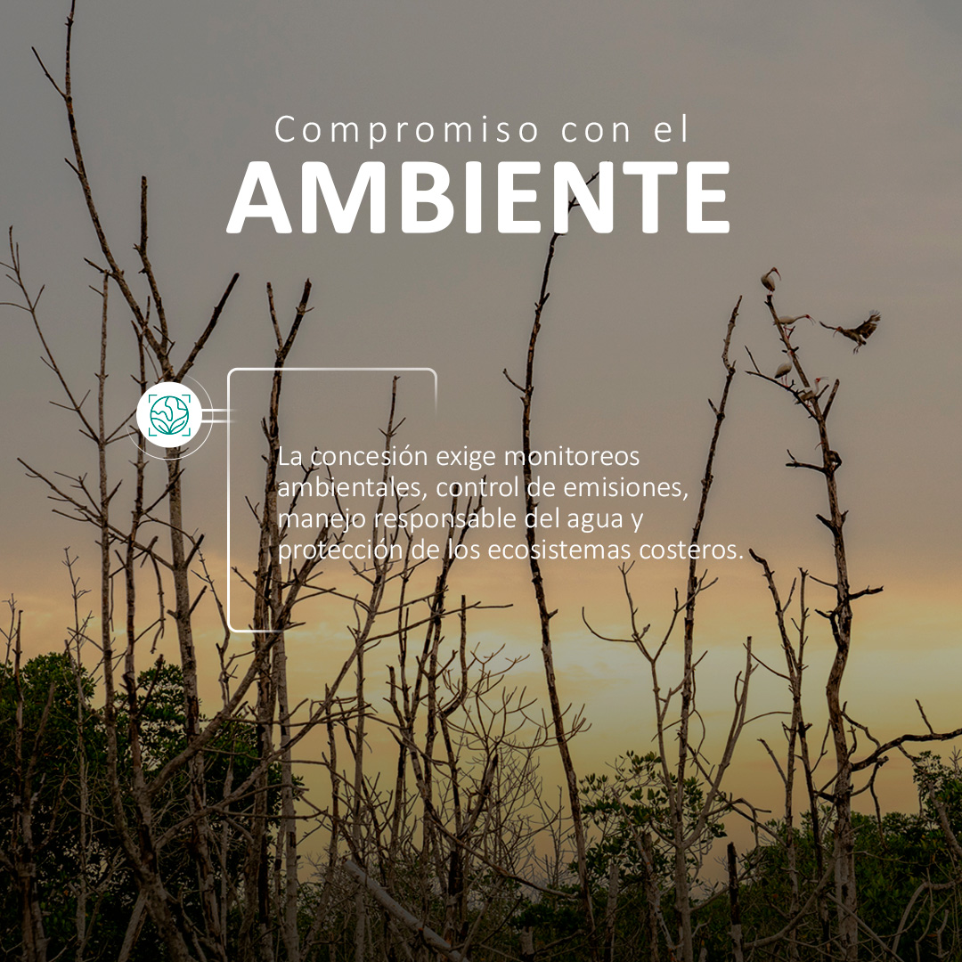 La concesión portuaria es clave para proteger el mar, las comunidades y el entorno donde operamos