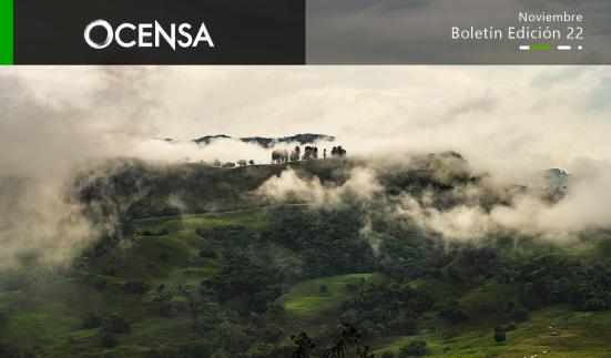 Los 1000 árboles que llegaron a Suna Arriba