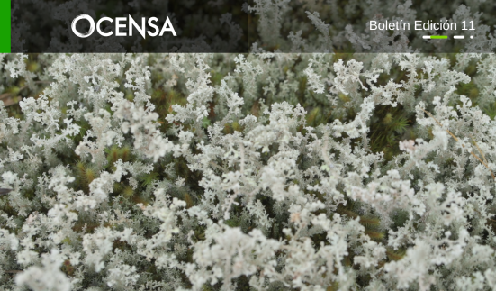 Semana Sevivir con SosTECnibilidad