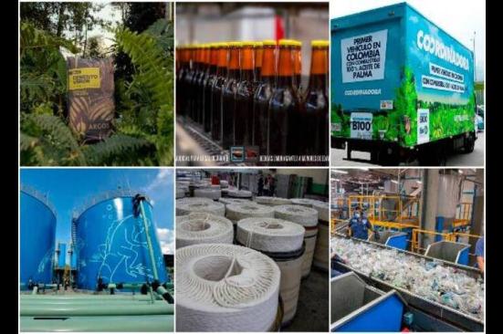 La apuesta de las empresas colombianas por ser más sostenibles