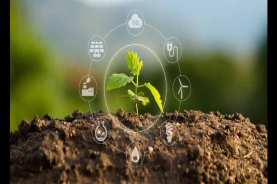 La relevancia de la inversión privada para lograr los objetivos de transición energética