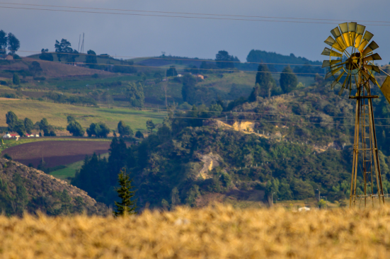 Categoría<br /> Transición Energética y Descarbonización