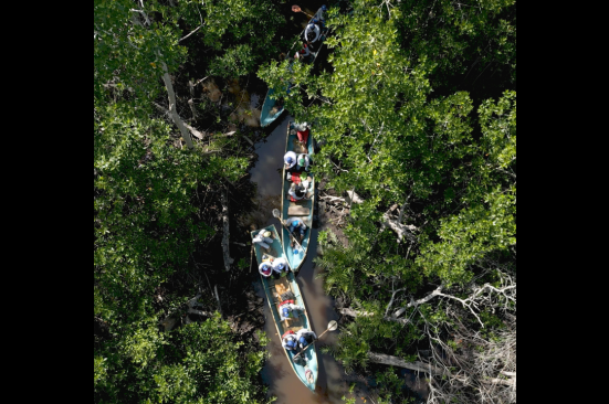 Categoría<br /> Responsabilidad Ambiental 