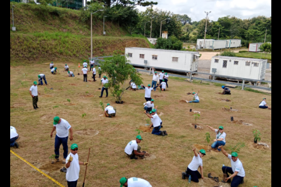 Siembra voluntaria de árboles en La Granjita y Puerto Berrío