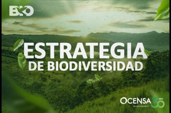 Del páramo al manglar: conectados con nuestra Biodiversidad