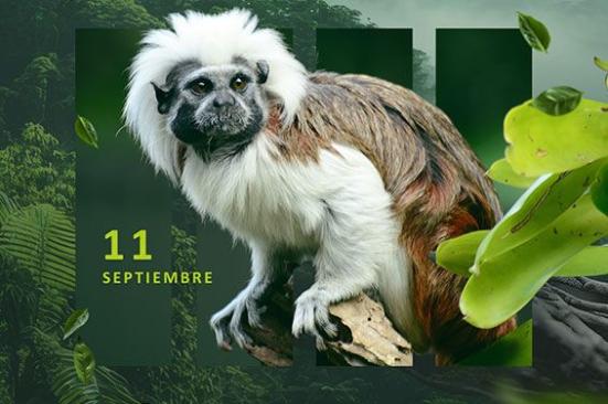 La protección de la biodiversidad es uno de nuestros compromisos