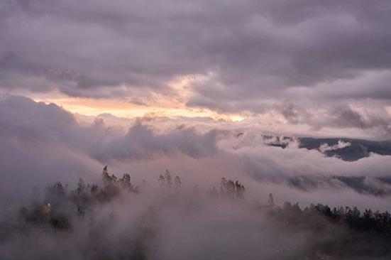Proyecto de Ocensa dentro de los finalistas del Global Pipeline Award