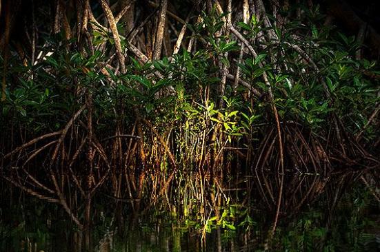 Diez proyectos que marcan nuestro compromiso medioambiental