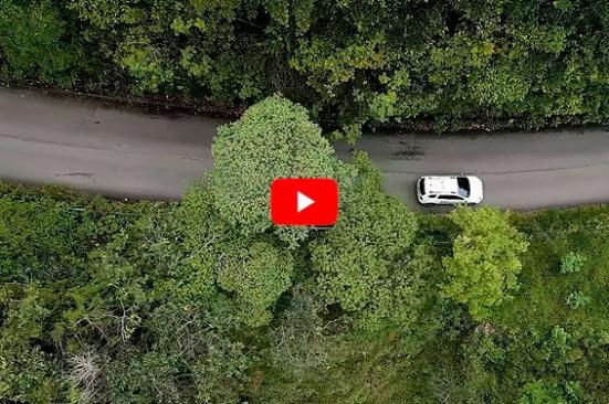 M&C Transporte hace parte de la Red de Desarrollo Empresarial de Ocensa