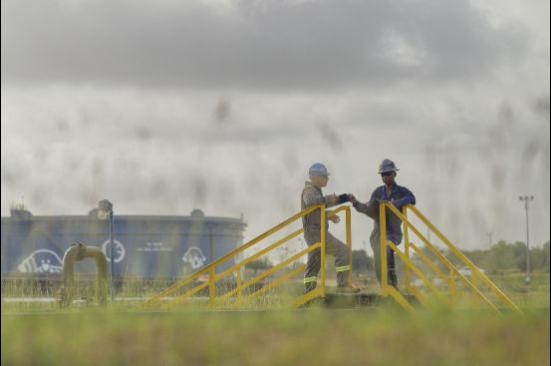 Informe de Gestión y Sostenibilidad 2025