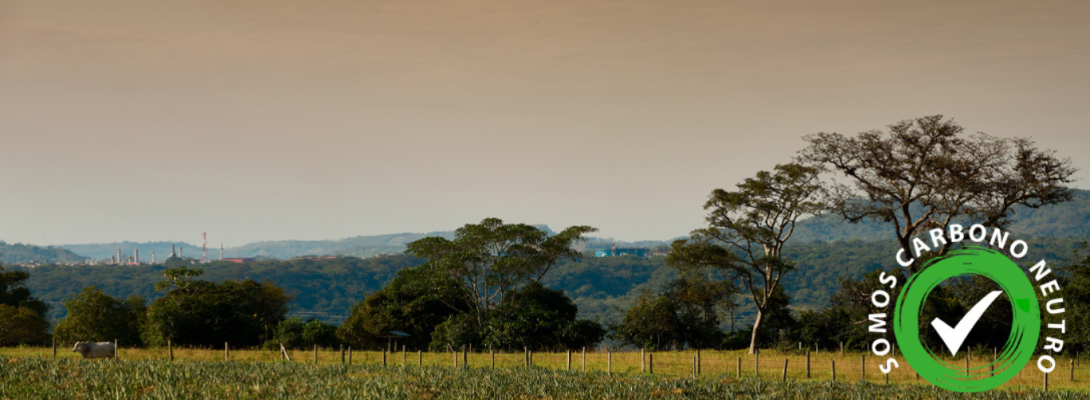 Somos carbono neutro